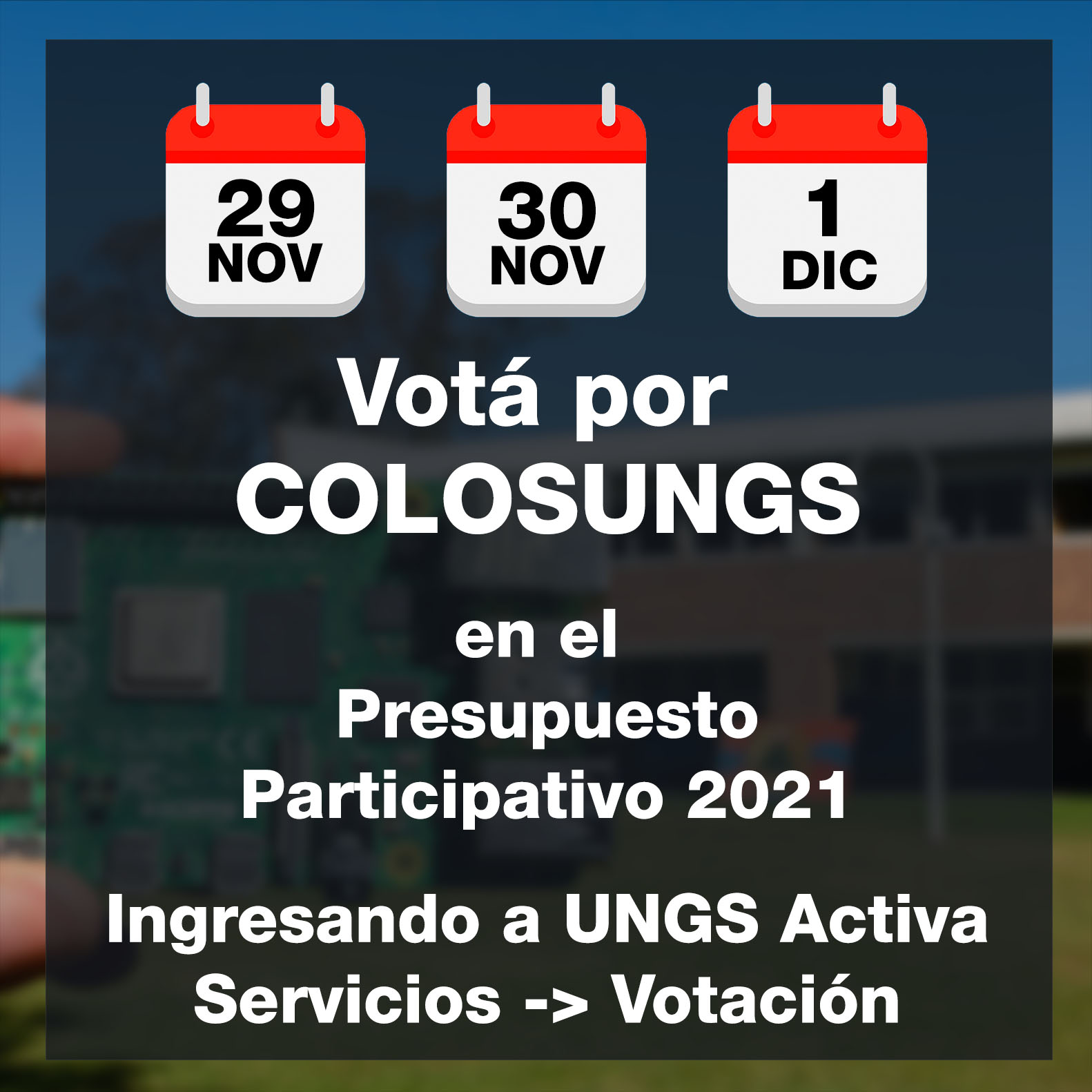 Votá por COLOSUNGS en el Presupuesto Participativo 2021 Ingresando a UNGS Activa Servicios, y Votación